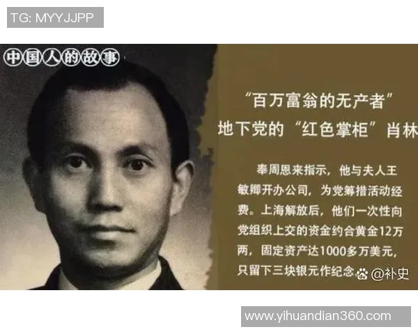 谢什科的传奇故事与影响力探讨:从历史到现代的深刻启示 谢什科的传奇故事与影响力探讨:从历史到现代的深刻启示