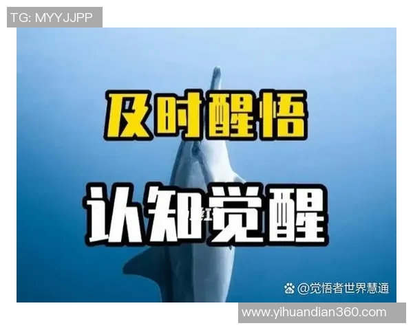 303神秘人揭开自由的面纱探索未知与自我解放的旅程