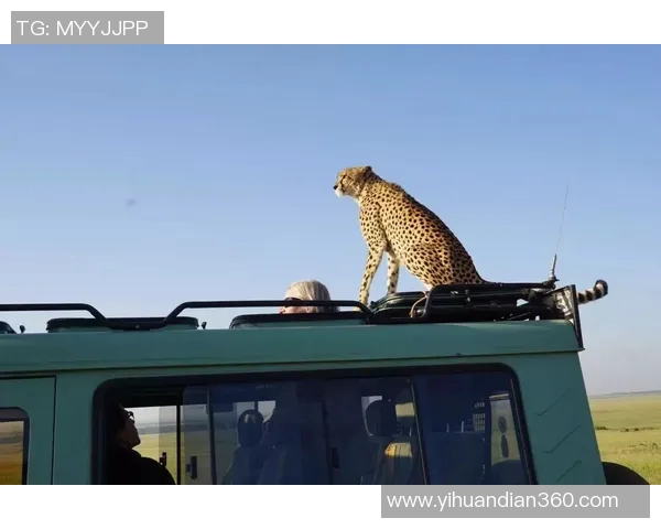 成都与南京极限运动队赛后复盘意识碰撞与战术分析MBA 成都与南京极限运动队赛后复盘意识碰撞与战术分析MBA